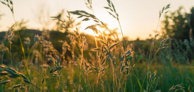 Hogere erfbelasting voor biologisch niet-erkend kind