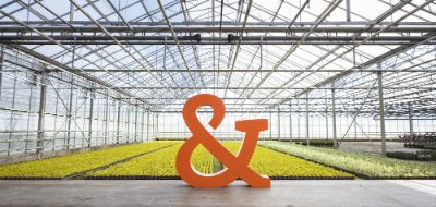 Een geschikte opvolger voor het familiebedrijf [10 stappen]